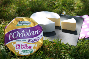 Le fromage sans lactose Ortolan Équilibre, le plaisir du fromage